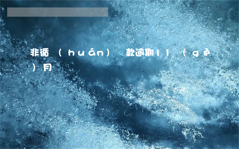 非循環(huán)貸款逾期11個(gè)月