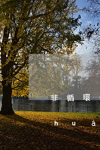 非循環(huán)貸款逾期7次(非循環(huán)賬戶逾期8次會影響貸款嗎)