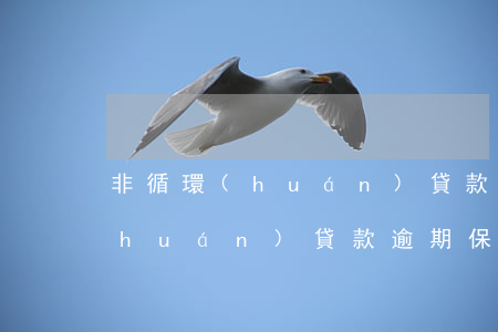 非循環(huán)貸款逾期8次(非循環(huán)貸款逾期保留多久)