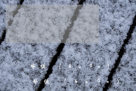 非循環(huán)貸賬戶逾期可以起訴嗎(非循環(huán)貸款有逾期)