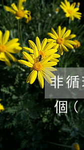 非循環(huán)貸賬戶逾期影響征信嗎(個(gè)人征信非循環(huán)貸款有逾期)
