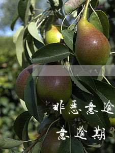 非恶意逾期信用卡怎么申诉(什么叫信用卡恶意逾期)