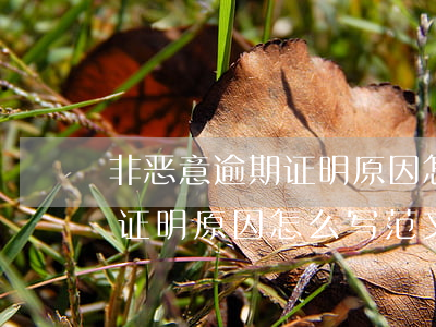 非恶意逾期证明原因怎么写范文(非恶意逾期证明原因怎么写范文图片)