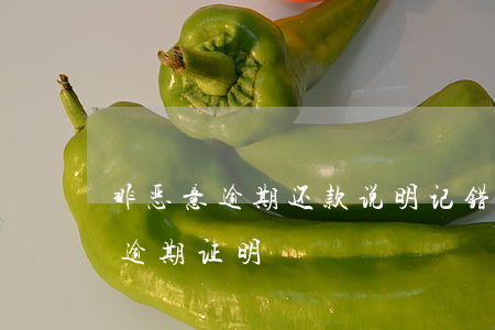 非恶意逾期还款说明(记错还款日期开非恶意逾期证明)