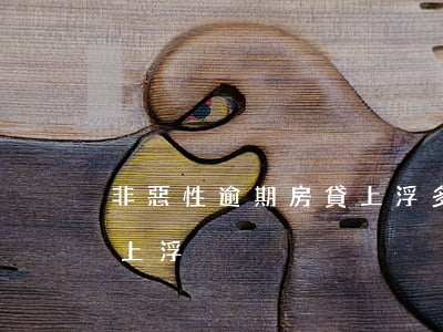 非惡性逾期房貸上浮多少(逾期3次貸款利率上浮)