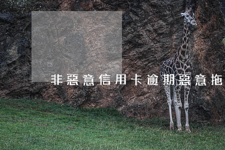 非惡意信用卡逾期(惡意拖欠信用卡)