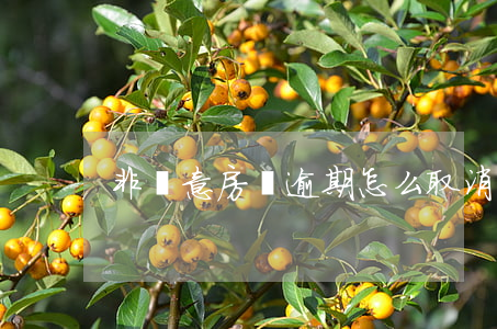 非惡意房貸逾期怎么取消(房貸逾期怎么辦)