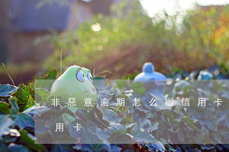 非惡意逾期怎么辦信用卡 非惡意逾期證明 信用卡