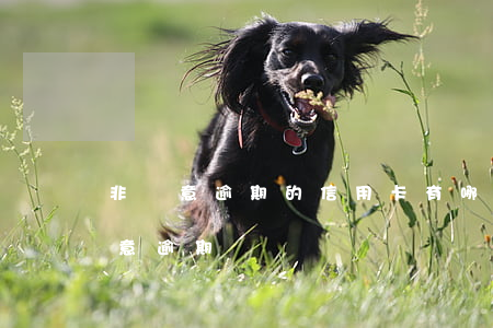 非惡意逾期的信用卡有哪些(什么是信用卡惡意逾期)