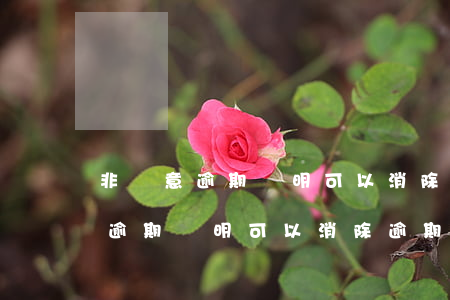 非惡意逾期證明可以消除逾期記錄-非惡意逾期證明可以消除逾期記錄嗎