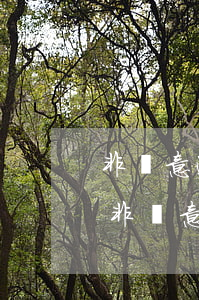 非惡意逾期證明的復(fù)印件有用嗎-非惡意逾期證明的復(fù)印件有用嗎知乎