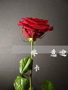非惡意逾期辦理公務卡(非惡意逾期辦理公務卡)