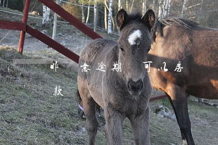 非惡意逾期還可以房貸嗎(逾期買房子還能貸款)