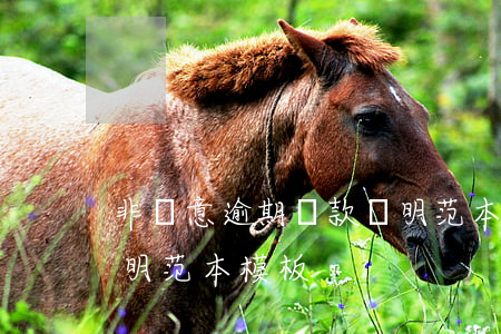 非惡意逾期還款說明范本(貸款非惡意逾期證明范本 模板)