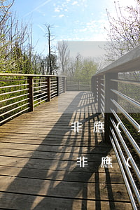 非應(yīng)計(jì)貸款逾期三年(非應(yīng)計(jì)貸款和逾期貸款的區(qū)別)
