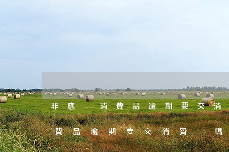 非應稅消費品逾期要交消費稅嗎-非應稅消費品逾期要交消費稅嗎為什么