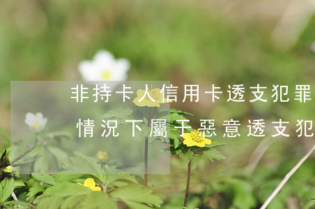 非持卡人信用卡透支犯罪(使用信用卡在什么情況下屬于惡意透支犯罪)