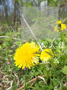 非本人使用信用卡逾期(非本人使用信用卡逾期怎么辦)