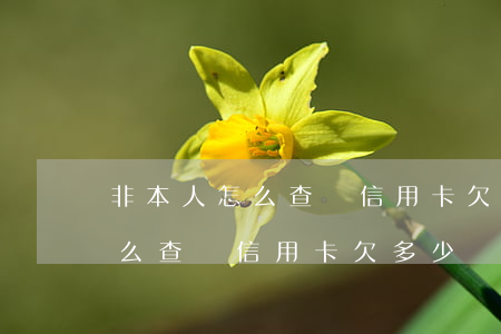 非本人怎么查詢信用卡欠多少錢-非本人怎么查詢信用卡欠多少錢了
