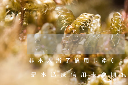 非本人辦了信用卡產(chǎn)生逾期(不是本造成信用卡逾期怎么辦)