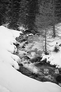 非本人辦理信用卡透支逾期十年(因為非本人原因造成信用卡逾期了怎么辦)