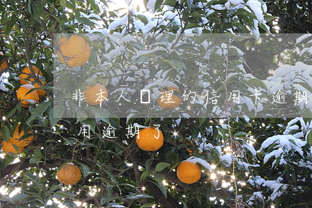 非本人辦理的信用卡逾期(信用卡不是本人使用逾期了)
