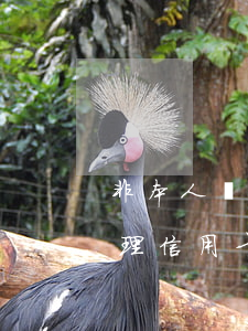 非本人辦理的信用卡逾期怎么處理 非本人辦理信用卡透支以后怎么辦
