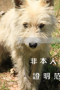 非本人開卡信用卡逾期證明模板(非惡意逾期證明范本 信用卡)