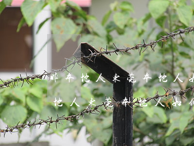 非本地人东莞本地人如何办理房产继承(非本地人东莞本地人如何办理房产继承)