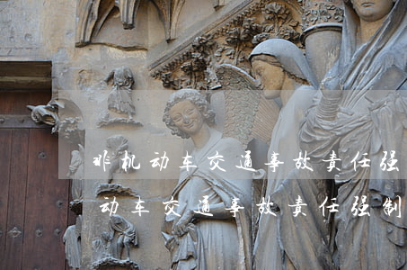 非机动车交通事故责任强制保险多少钱(非机动车交通事故责任强制保险多少钱)