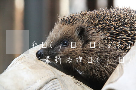 非機(jī)動(dòng)車全責(zé)最新法律(機(jī)動(dòng)車撞非機(jī)動(dòng)車,非機(jī)動(dòng)車全責(zé))