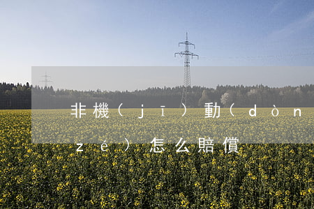 非機(jī)動(dòng)車相撞全責(zé)怎么賠償