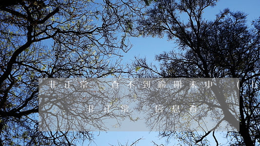 非正常戶查不到逾期未申報(bào)怎么辦-非正常戶信息查詢