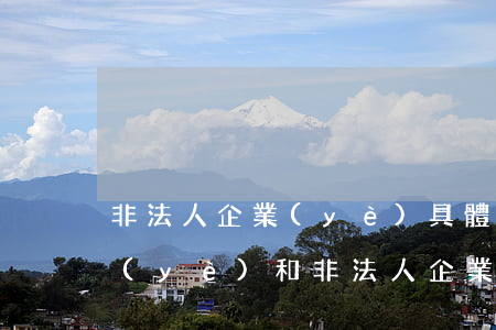 非法人企業(yè)具體包括哪些（法人企業(yè)和非法人企業(yè)的區(qū)別）