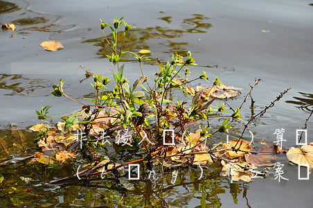 非法侵入計(jì)算機(jī)信息系統(tǒng)罪立案標(biāo)準(zhǔn)_2021非法侵入計(jì)算機(jī)信息系統(tǒng)罪量刑標(biāo)準(zhǔn)和認(rèn)定構(gòu)成要件