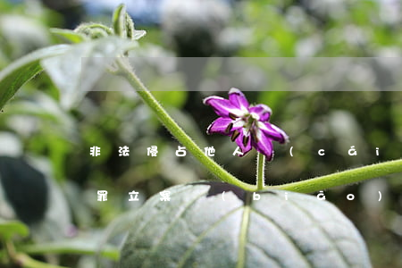 非法侵占他人財(cái)產(chǎn)罪立案標(biāo)準(zhǔn)