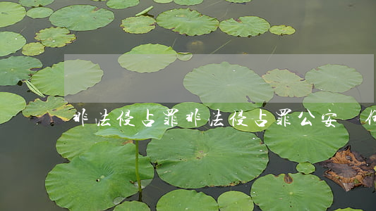 非法侵占罪(非法侵占罪公安為何不立案)