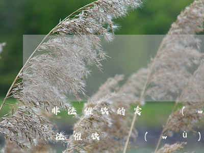 非法催收的定義網(wǎng)貸 什么是非法催收債務(wù)罪