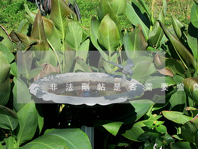 非法刪帖是否需要擔責