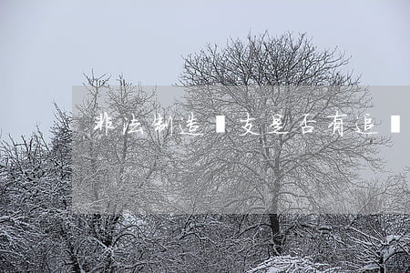 非法制造槍支是否有追訴時效
