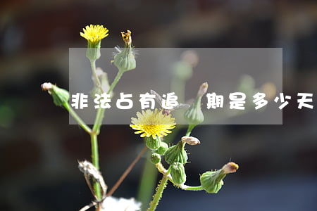 非法占有追訴期是多少天