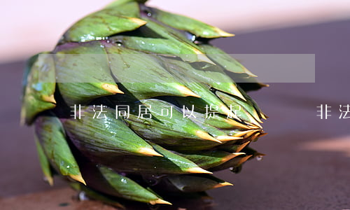 非法同居可以提起訴訟嗎(非法同居可以提起訴訟嗎)