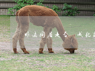 非法同居是否構成犯罪