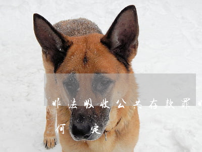 非法吸收公共存款罪(非法吸收公共存款罪如何認定)
