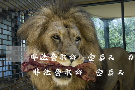 非法套取公積金后又無力償還有什么后果-非法套取公積金后又無力償還有什么后果嗎