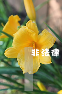 非法律專業(yè)的可以考司法證嗎