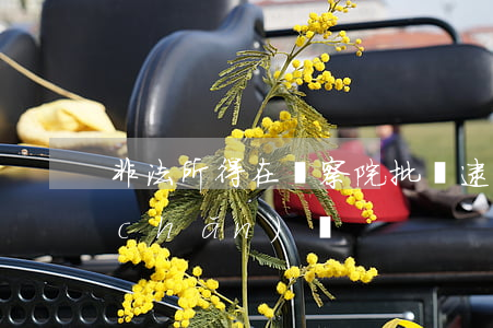 非法所得在檢察院批準逮捕后會沒收財產(chǎn)嗎