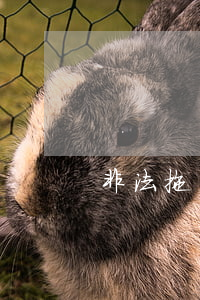 非法拖車是什么罪(私自拖車算不算違法)