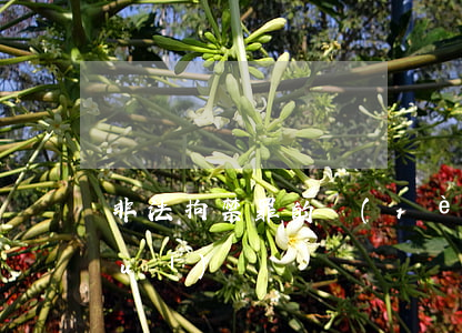 非法拘禁罪的認(rèn)定與量刑規(guī)則