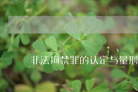 非法拘禁罪的认定与量刑规则